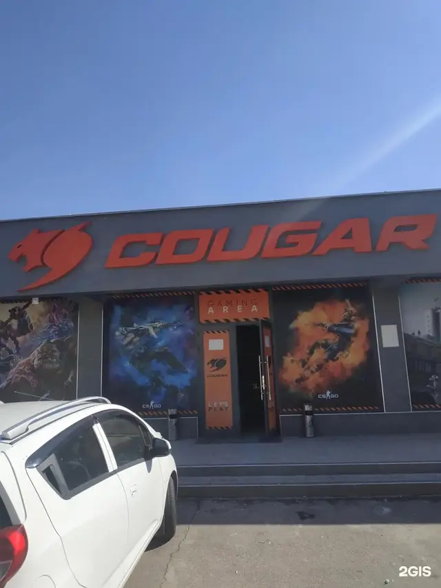 Cougar